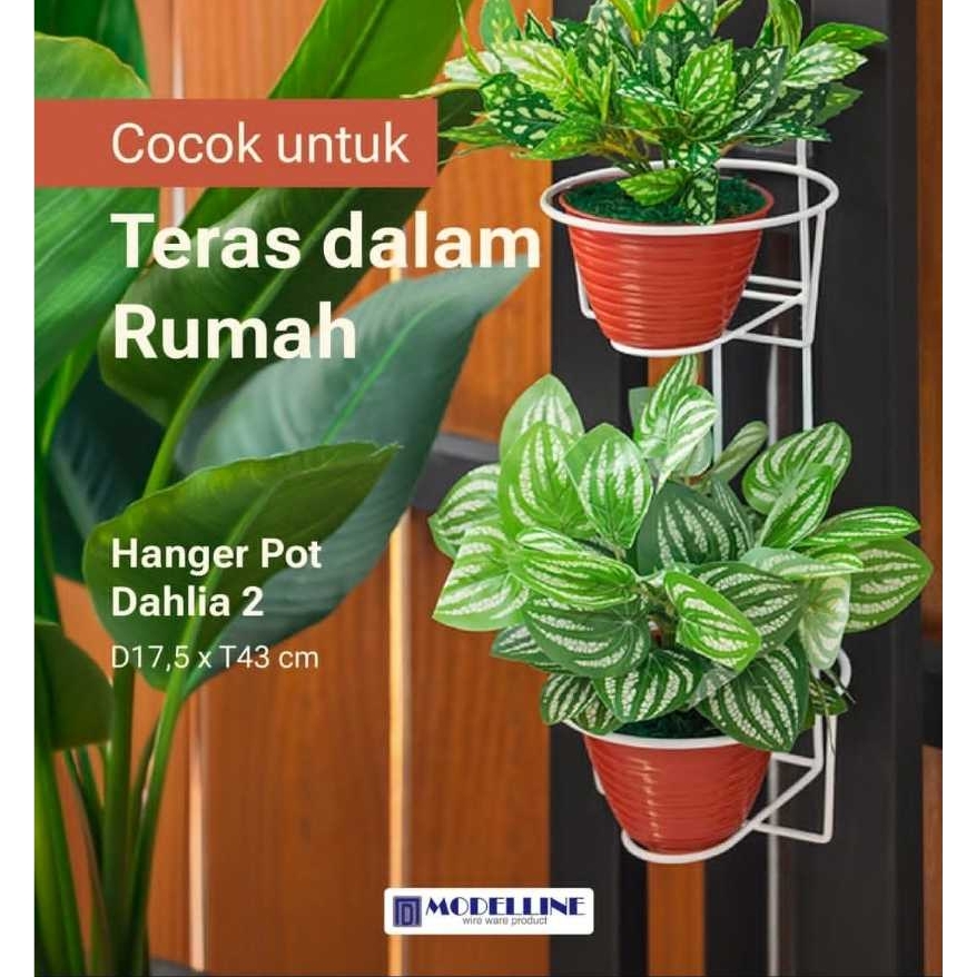 MODELINE POT BUNGA DAHLIA 2