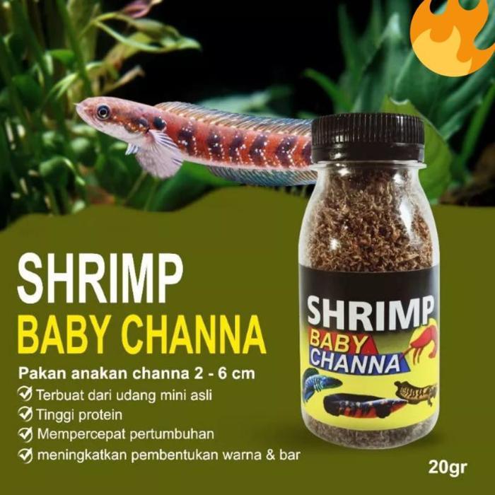 Udang kering pakan burayak chana / baby shrimp / udang kering / pakan chana / pakan burayak / pakan