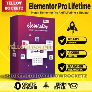 Elementor Pro Lifetime Bonus Free Update
