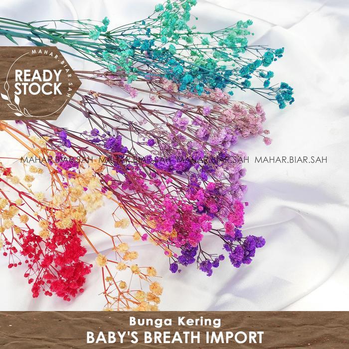 3 Gr Baby's Breath Import / Baby Breath / Dried Flower / Bunga Kering / Dried Babys Breath / baby
