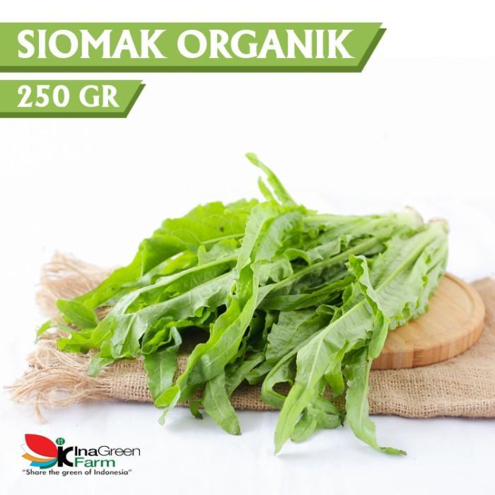 Sayur Siomak Organik Inagreen 250 Gram Bandung