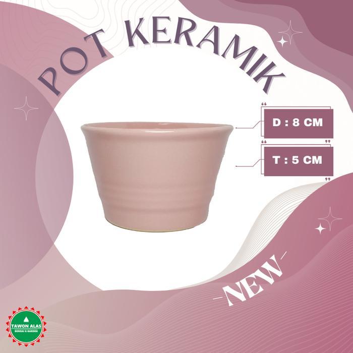 Little_Little_ Pot Keramik Bonsai Bundar Kecil Mini Mame