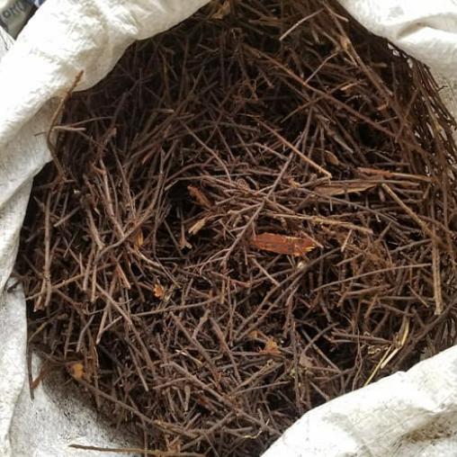 Akar Pakis Karungan -1Kg