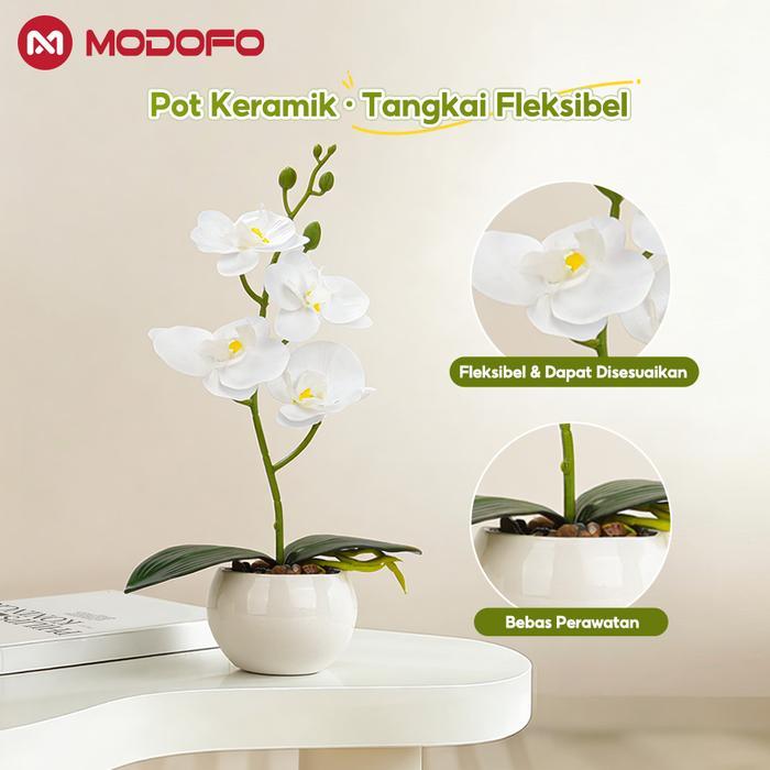 CODMODOFO Anggrek Bulan Simulasi Premium Bahan Lateks, Set 3 Pot (Sedang, Besar, Kecil) + Vas