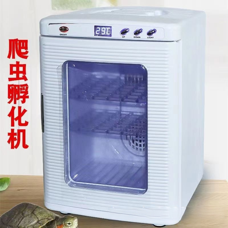 Small Automatic Incubator Reptiles Animal Incubator Lizard Egg Incubator Mini Refrigerator Constant