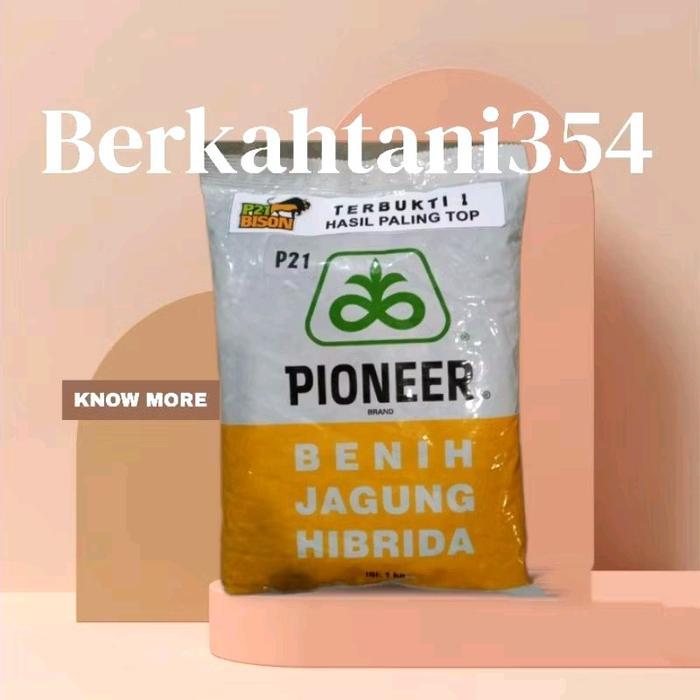 Argotech_ Benih Jagung P21 1Kg Bibit Jagung Pioneer P21 1Kg