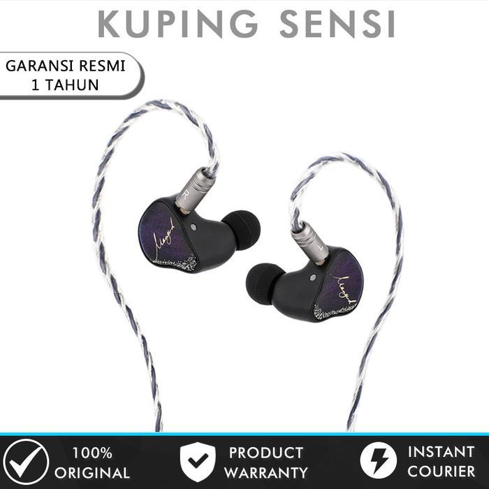XENNS Mangird Tea Pro Precision Tuning 2DD+6BA Hybrid In Ear Monitor Earphone