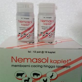 OBAT CACING NEMASOL obat ayam readyyy
