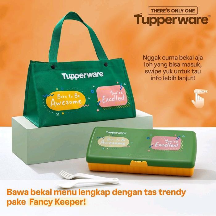 FANCY KEEPER TUPPERWARE / LUNCH BOX
