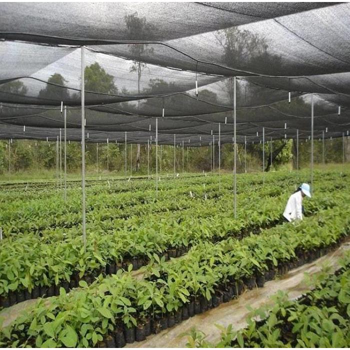 Swaylineshop Paranet 90 Persen Lebar 4 Meter ( Panjang 100 Meter ) - Dekorasi Taman - Paranet