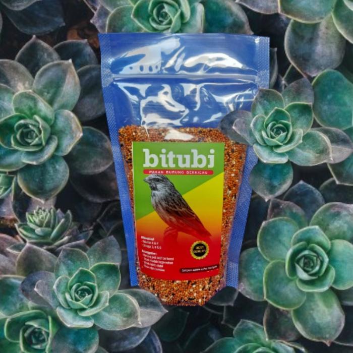 PAKAN HARIAN & TERNAK BURUNG BLACKTHROAT SANGER MOZAMBIK EKONOMIS 1Kg