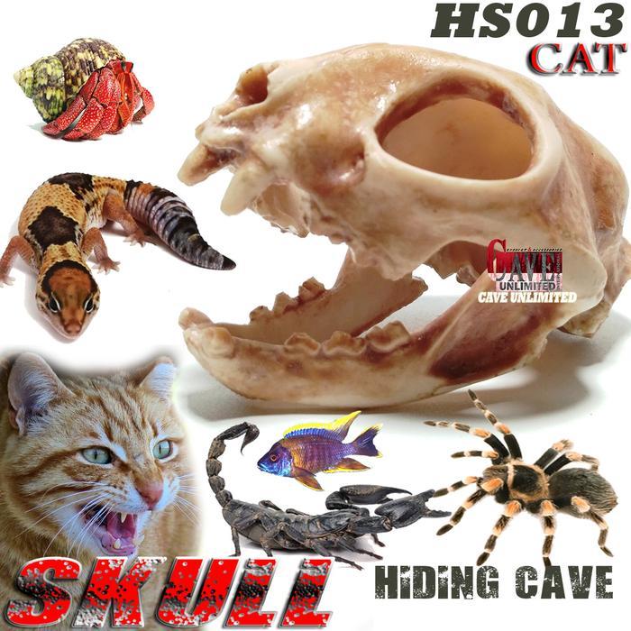 DISKON TENGKORAK KEPALA KUCING HS014 HIDING CAVE SKULL CAT AQUASCAPE REPTILE