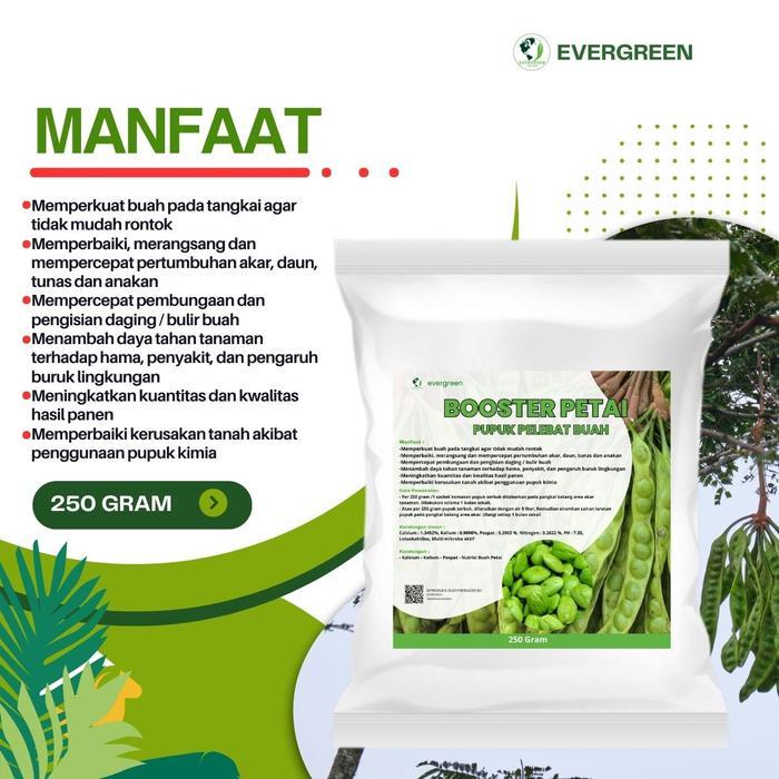 "New" Pupuk Petai Booster 250 gram - Pupuk Pelebat Buah Petai - Pupuk Petai
