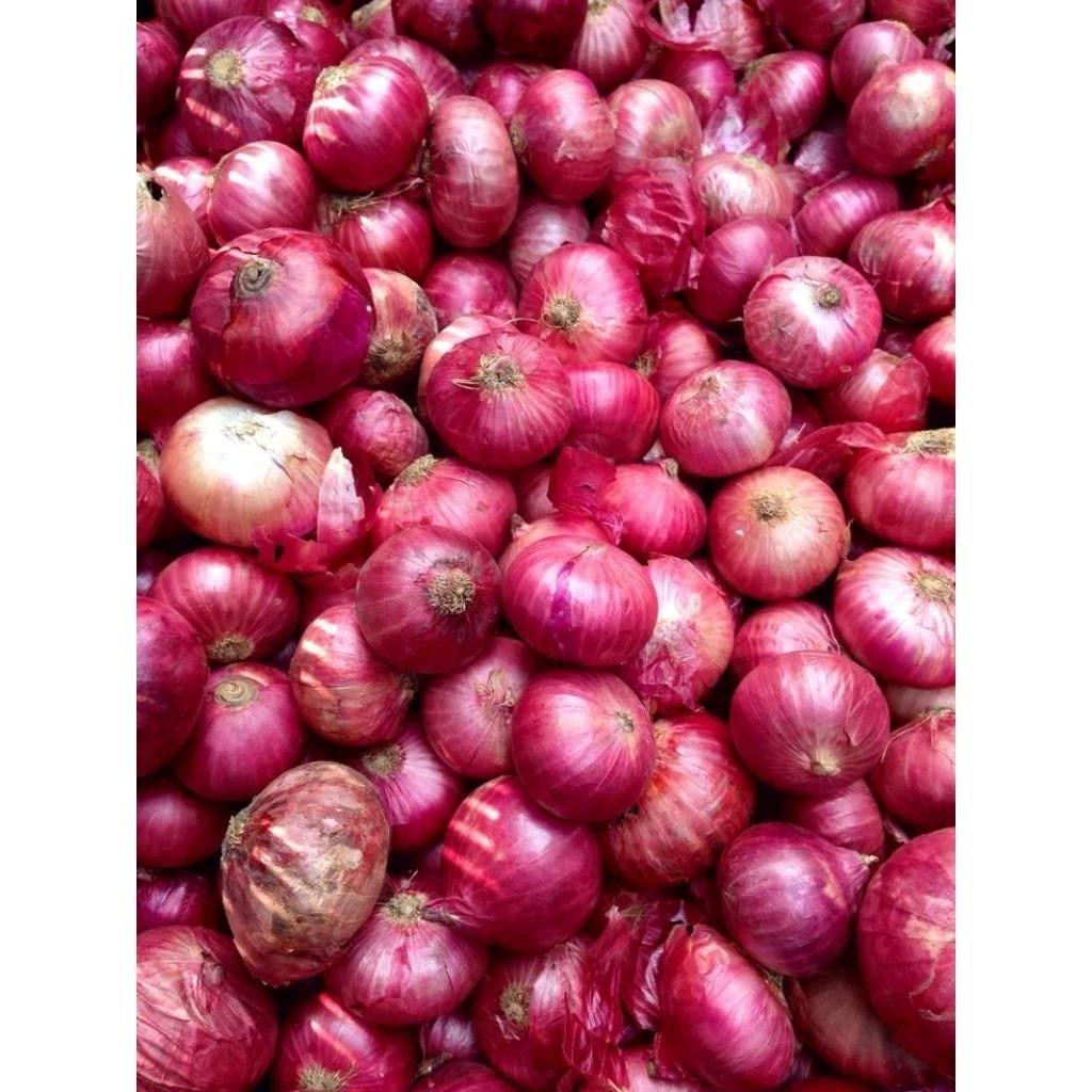 bawang merah kering kecil gerusan