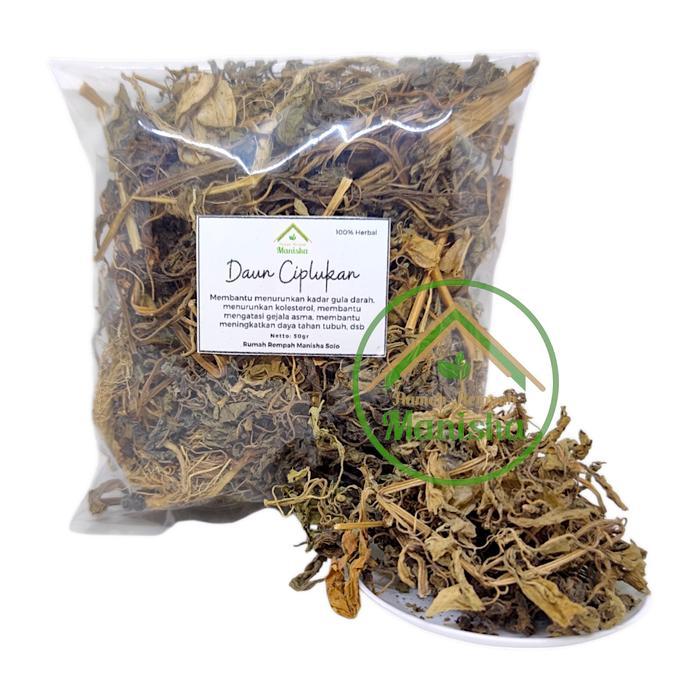 Daun Ciplukan Kering - Daun Ciplukan 50gr