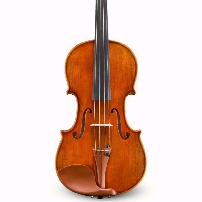Violin (Biola) Raul Emiliani Vl-928 By Eastman Strings