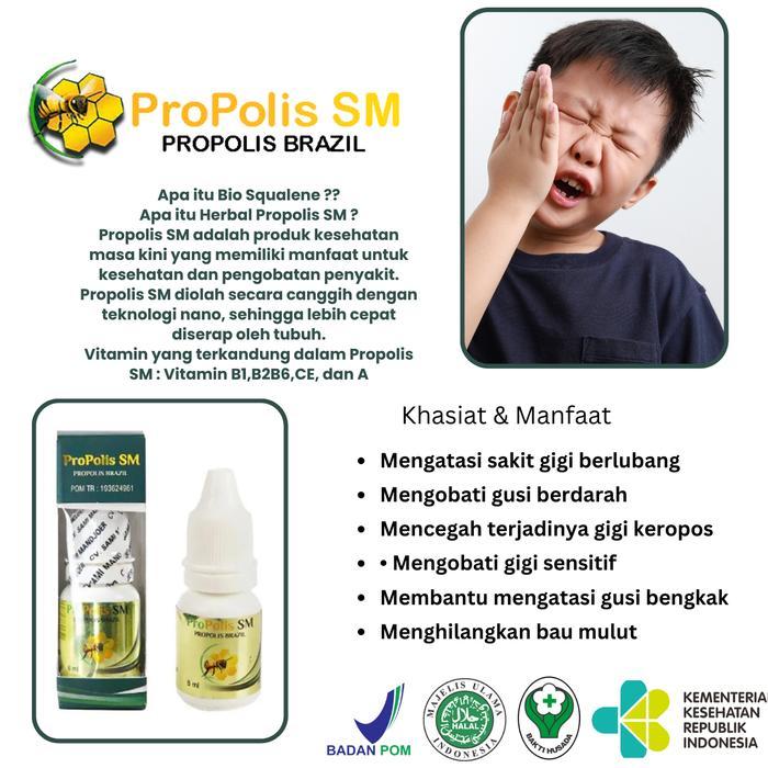 Propolis SM Herbal Tetes Sakit Gigi, Gigi Linu, Meredakan Sakit Gigi Berlubang, Sariawan Radang