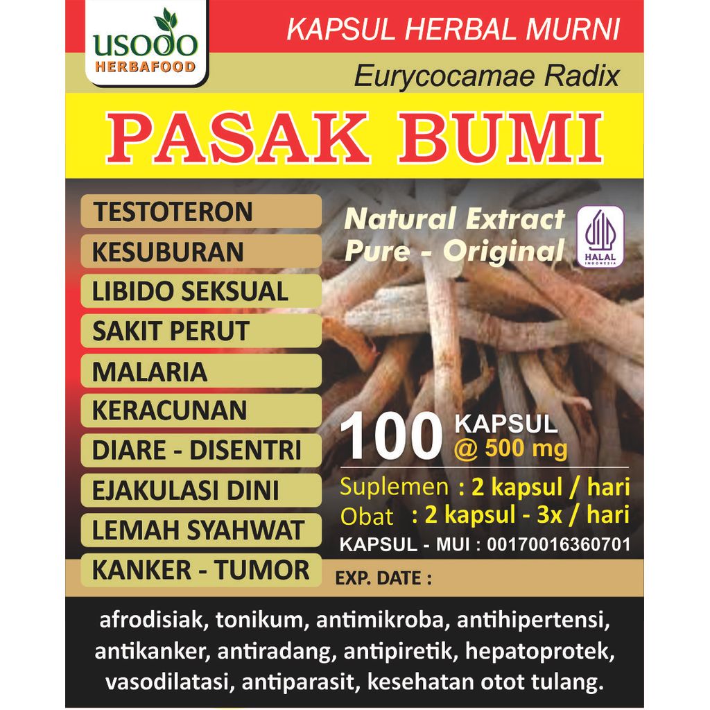 Kapsul Herbal Asli AKAR PASAK BUMI 100 kapsul @500 mg USODO HERB - Nutrisi Alami Kaya khasiat - Ekst