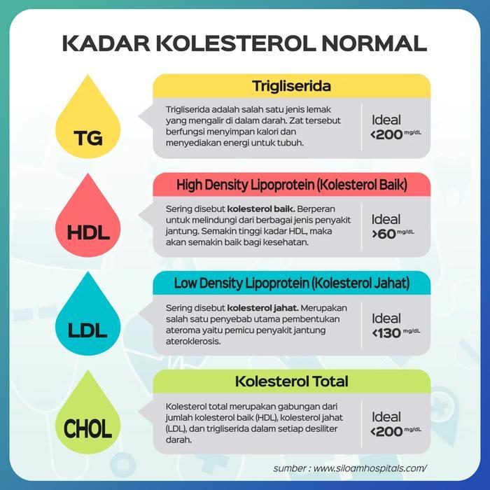LIPID PRO KOLESTEROL TRIGLISERIDA HDL LDL GLUCOSE METER / ALAT UKUR TOTAL HDL LDL TRIGLISERIDA 1