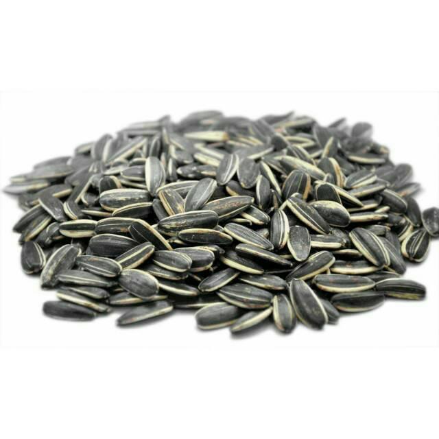 "New" 1KG Kuaci Rebo Kiloan / Kuaci Matahari 2 Varian Rasa (Susu / Original)