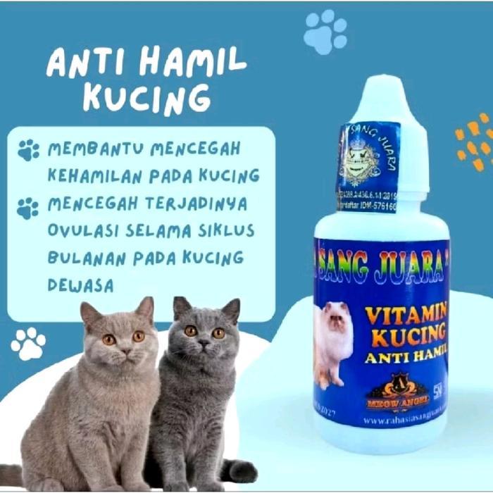 Diki_Diku Obat Anti Hamil Kucing Vitamin Kucing Anti Hamil Rhs