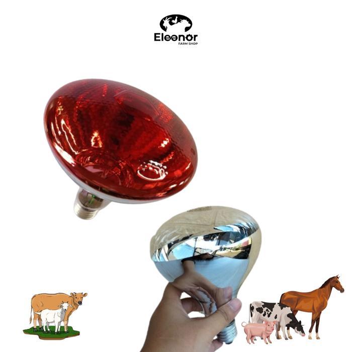 PROMO MURAH Eleanor Farm Lampu Penghangat Anakan Domba Sapi Kucing