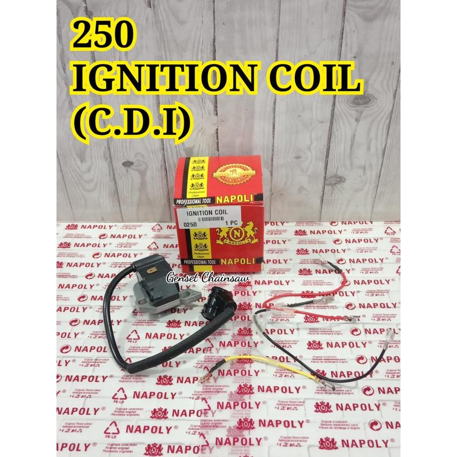 CDI 250 IGNITION COIL ASSY MS250 MODULE MS-250 MS PENGAPIAN MS230 023