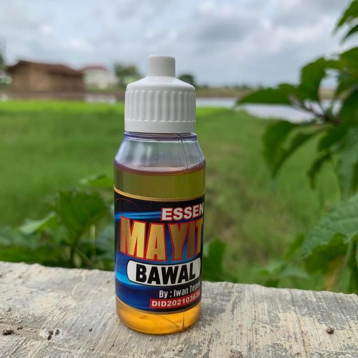 Essen Mayit Bawal Asli Buatan IWAN TEGEK