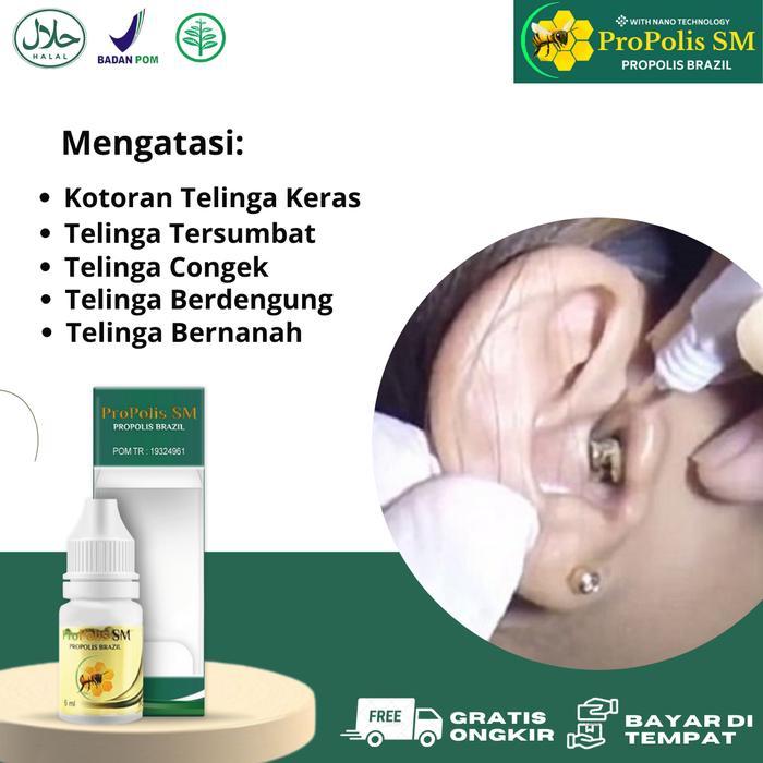 Tetes Kotoran Telinga Keras, Pembersih Telinga, Tetes Telinga Congek Propolis SM