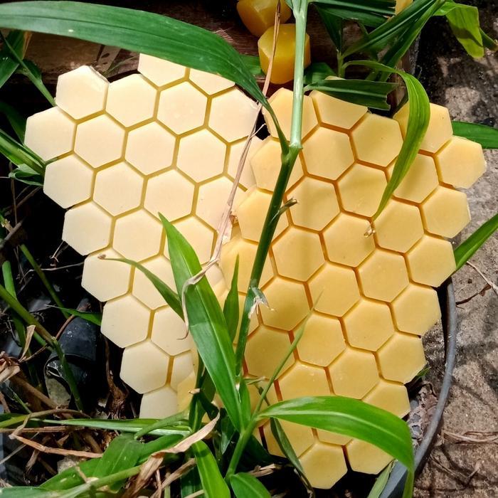 Beeswax Sarang/Beeswax Murni 1 Kg