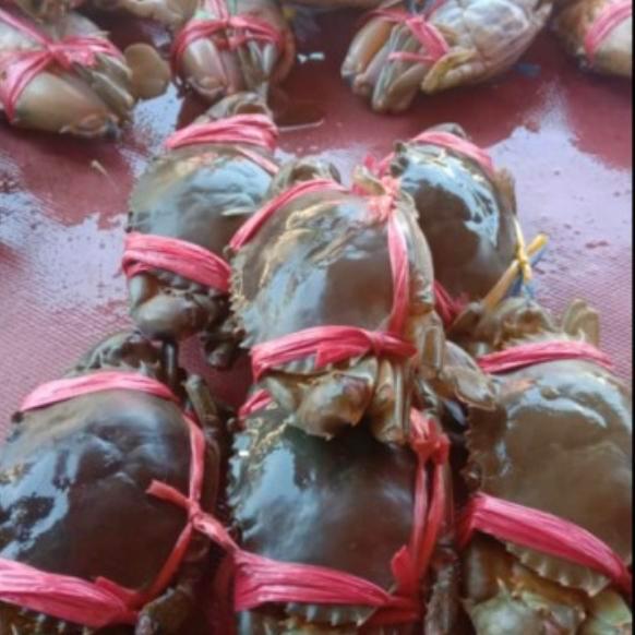 Baby Crab Kepiting Hidup 1Kg Isi 7 Hidup