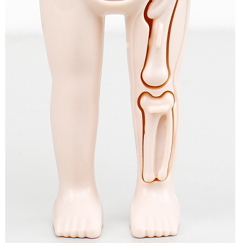 Kid Montessori 3D Puzzle Human Body Anatomy Model Educational Learning Organ Assembled Toy Body