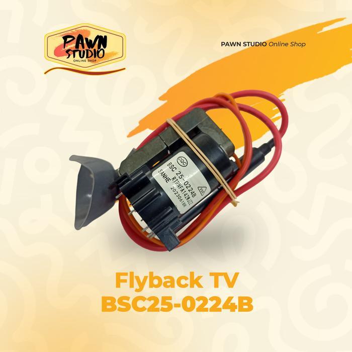 Playback / flyback tv bsc25-0224B / Flyback Tv BSC25-0224B RTRNFA142WJZZ