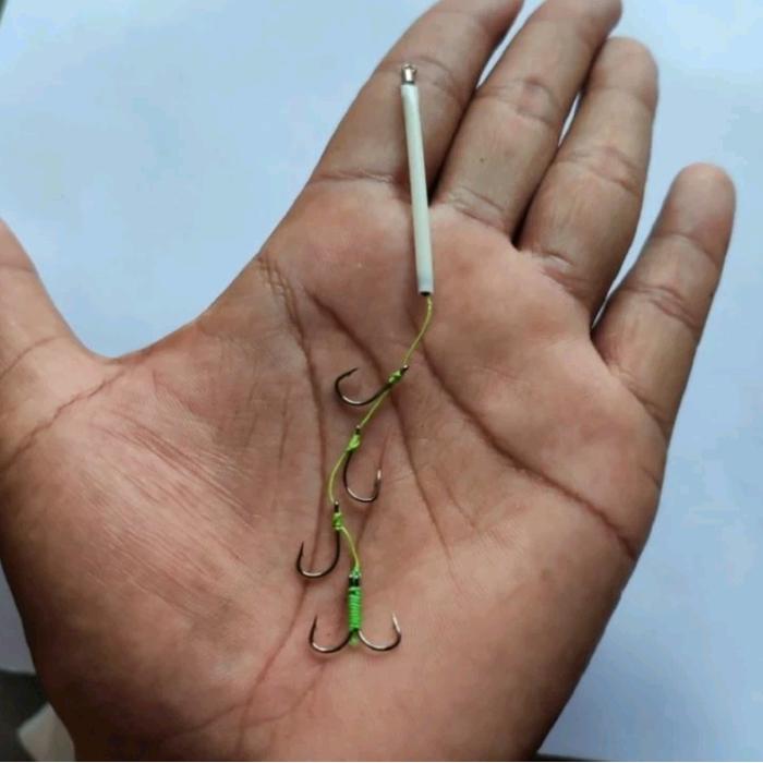 Kail Belanak Umpan Tepung Encer (Rangkaian Ikan Belanak