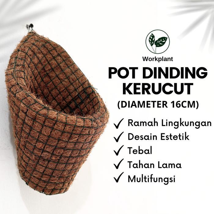 Pot Dinding Kerucut - Pot Serabut Kelapa Tempel Tanaman Anggrek Aroid Monstera dll