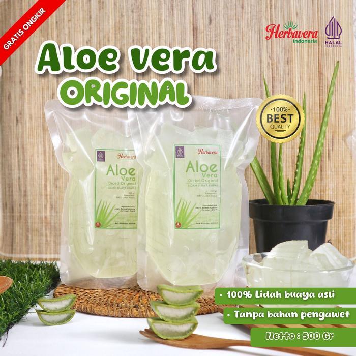 Aloevera Gel Lidah Buaya Kupas Fresh Organik Murni Herbavera