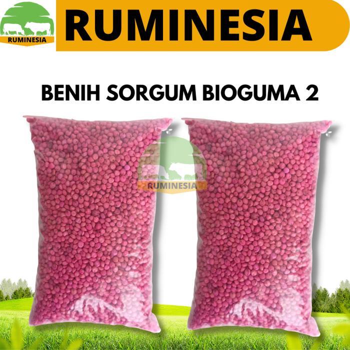 Argotech_ Benih Sorgum Bioguma 2 Kemasan 1 Kg - Sumber Hijauan Pakan Ternak Ting