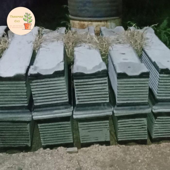 Pot Panjang Batu Pot Batu Untuk Tanaman