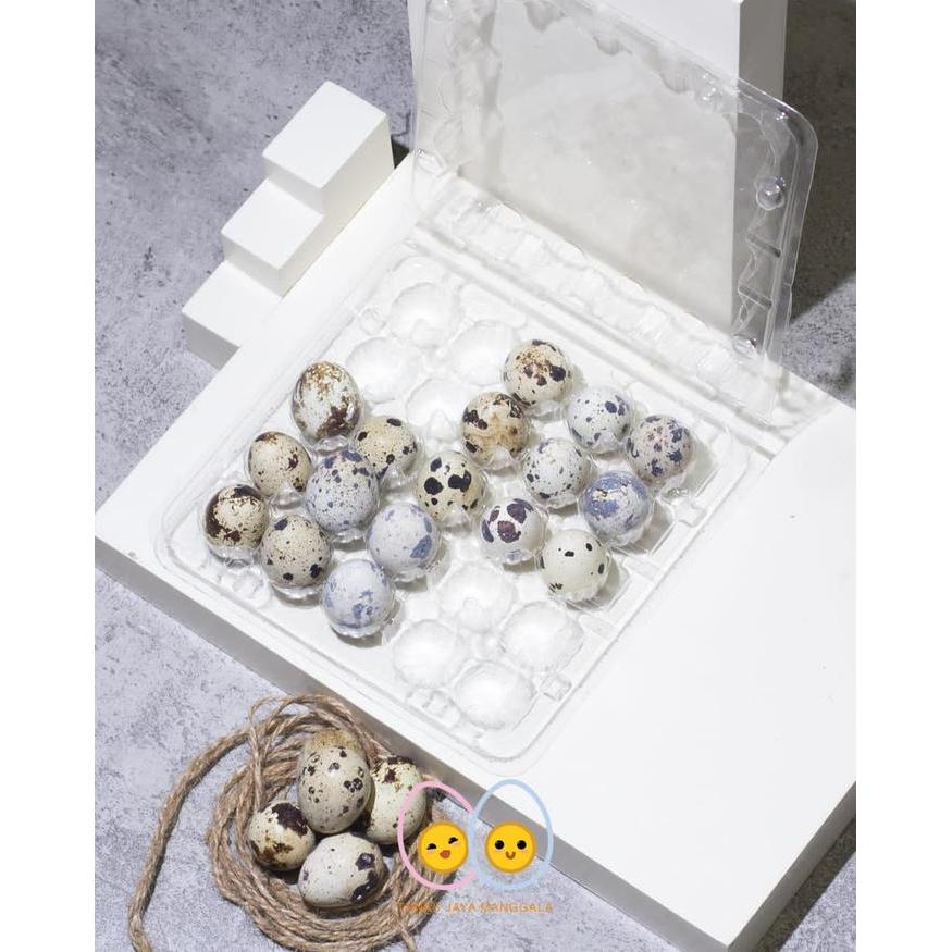 Promo Mika Telur Puyuh Isi 25 Lubang 25 Pcs