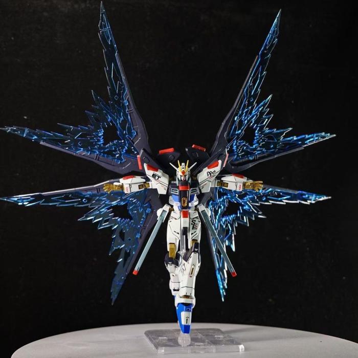 Gaoke 201 HG 1/144 Strike Freedom Revive Fighter Mode Kit