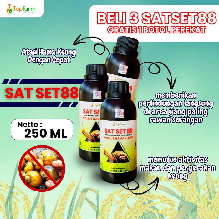 Terlaris Beli 3 Gratis Perekat-Racun Keong Sawah Super Ampuh / Racun Keong Sawah / Racun Keong Pada
