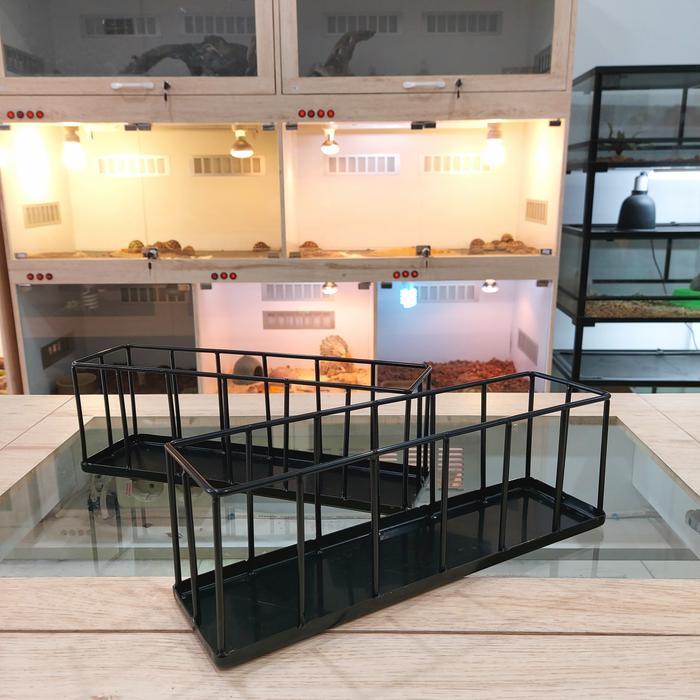 PROMO Feeding Dish Stainless / Tempat Makan Torto Kurakura Sulcata Parda