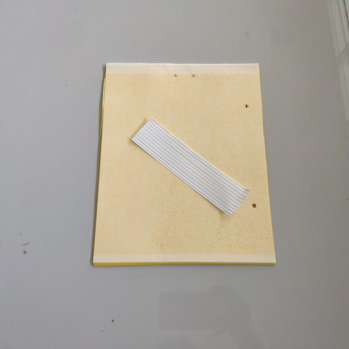 Livia Likat Kuning / Lem Serangga Kuning / Lem Lalat Kuning / Yellow trap