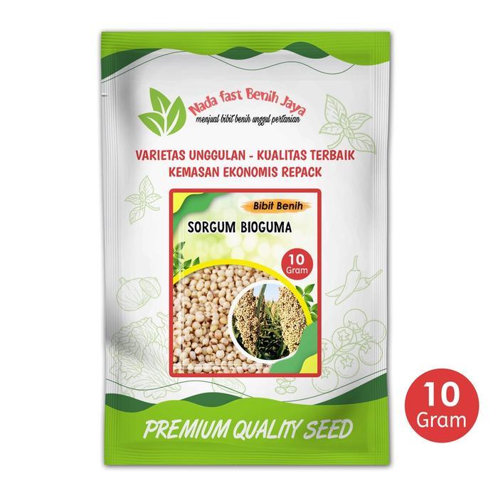 Benih sorgum bioguma air nira batang manis 10 gram terbaik / bibit benih pakan ternak Tanaman Daun