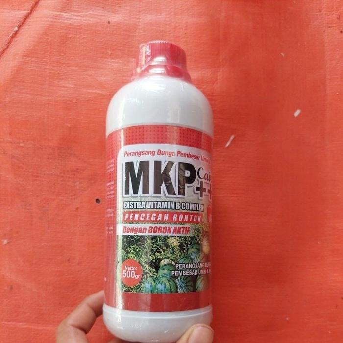 Little_Little_ Pupuk Mkp Cair ++ Boron Aktif 1 Liter Dan 500 Ml