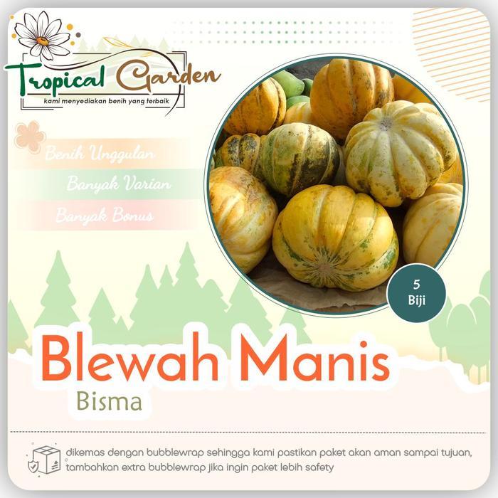 Benih Biji Buah Blewah Manis