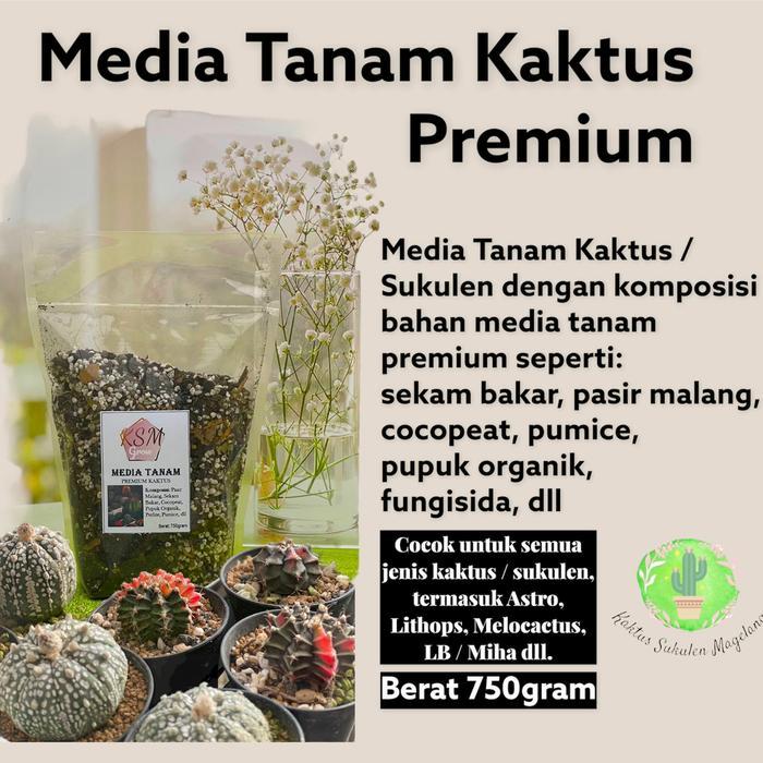 Argotech_ Media Tanam Premium Kaktus Lithops Astro Dll Ksm Grow 750Gram