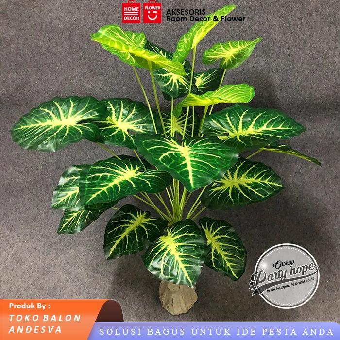 daun keladi jumbo putih / daun aglonema plastik bunga hias artificial