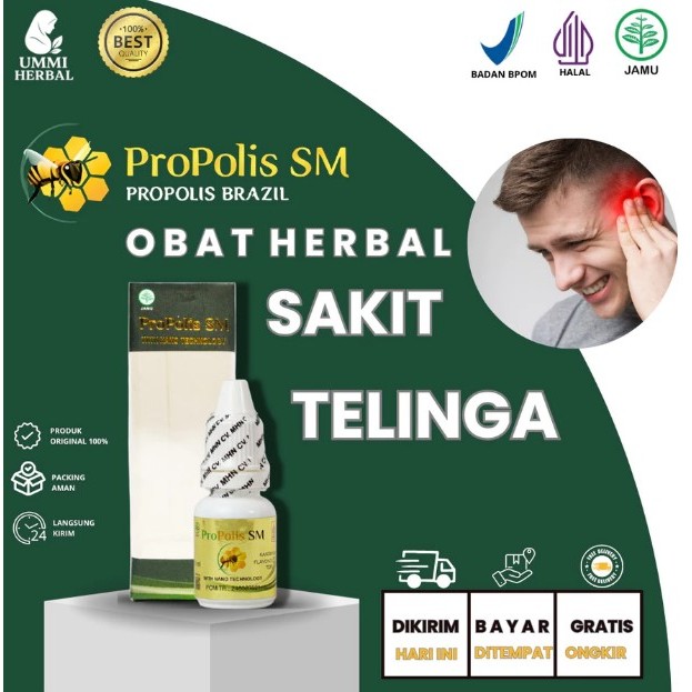 PROPOLIS Obat Tetes Telinga Obat Sakit Telinga Telinga Bernanah Telinga Tersumbat Sakit Telinga PALI