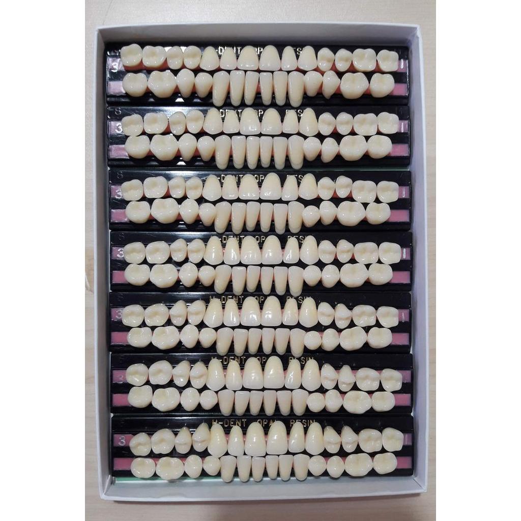 GIGI OPAL H DENT FULL SET, Hakusui Japan